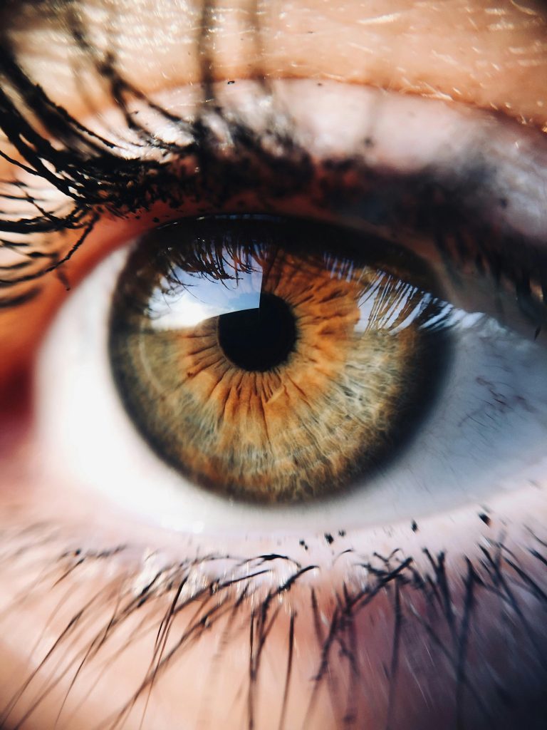 pexels photo 2440264 2440264 A detailed close-up image of a brown hazel human eye, showcasing the iris and eyelashes.